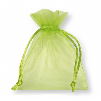 Organza Geschenktüte hellgrün.
 